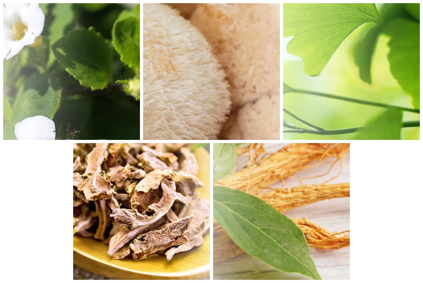 CogniFort+ ingredients